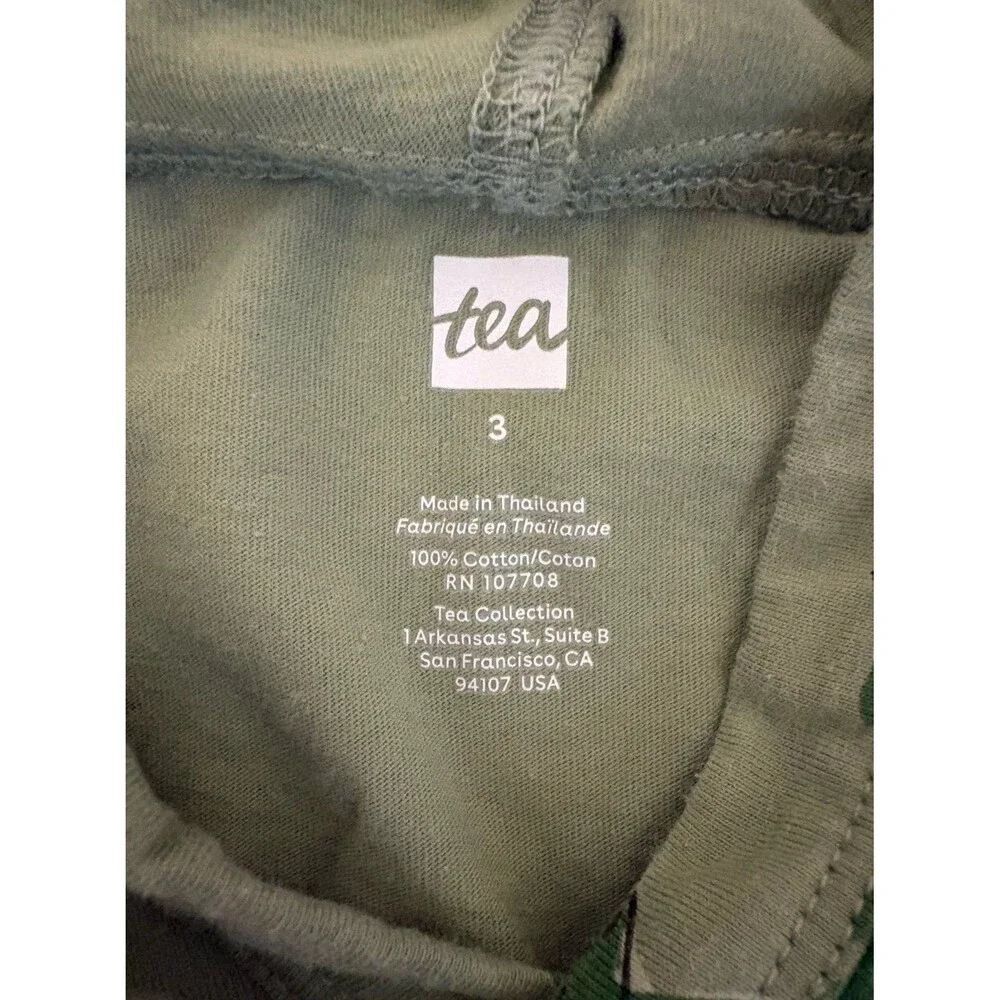 Tea Collection Dinosaur Hoodie, Size 3T